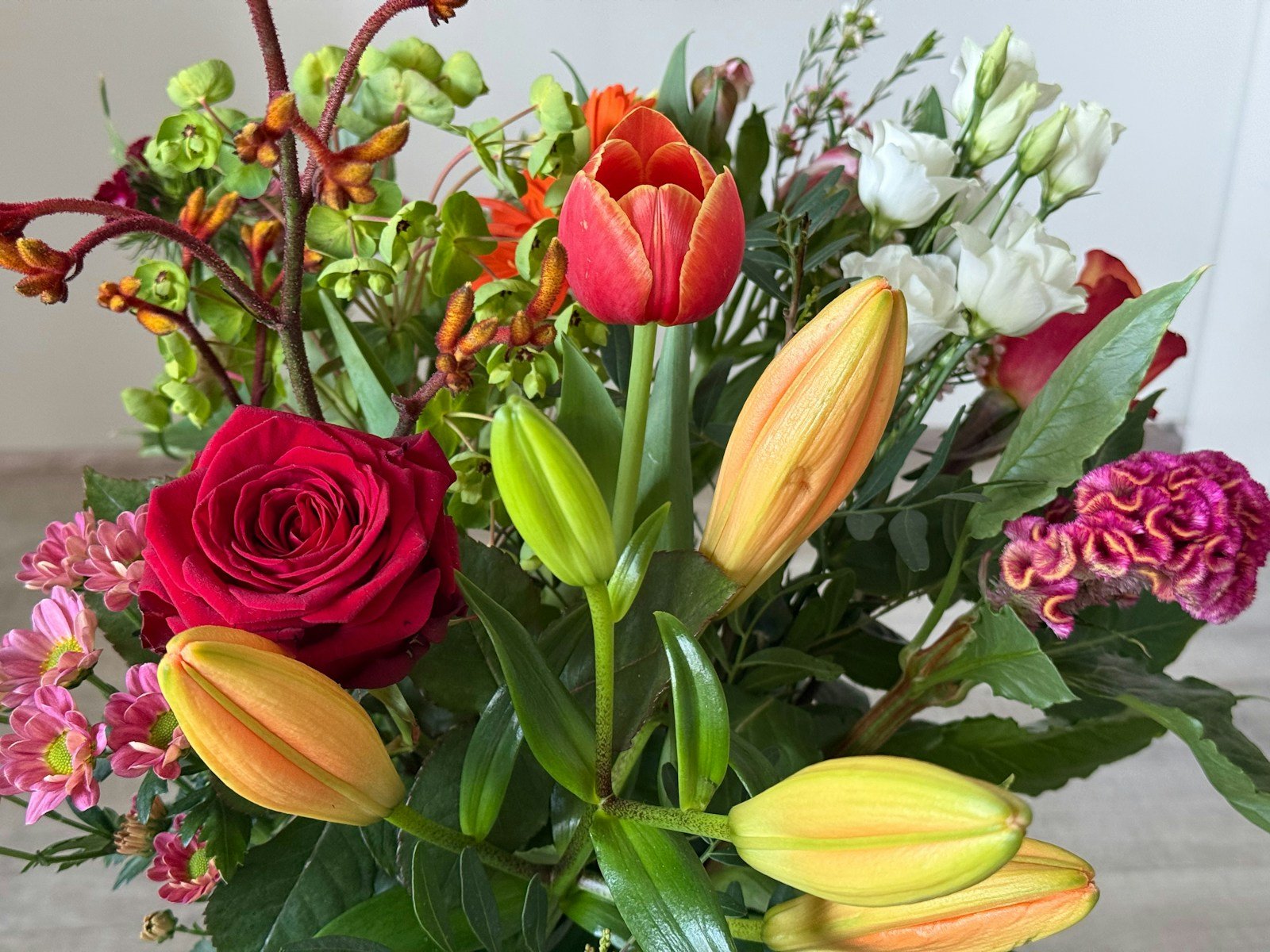 A vibrant bouquet features red, orange, and white flowers with green foliage against a light background.