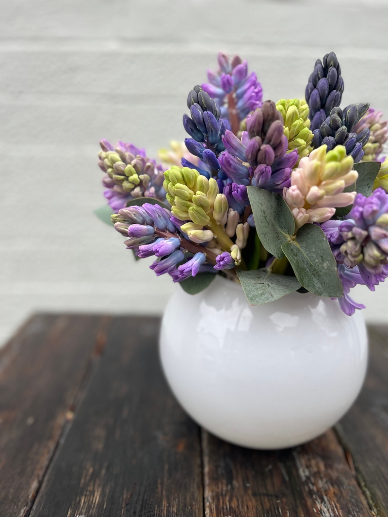 Hyacinth Vase Arrangement
