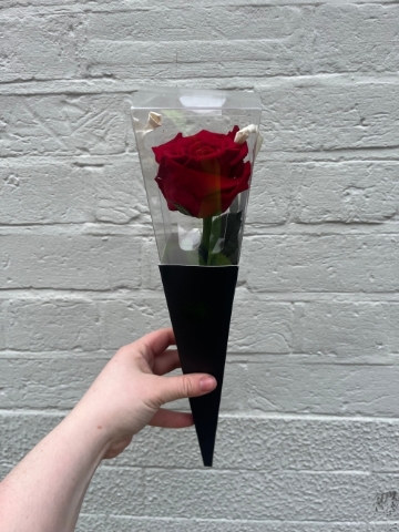 Single Everlasting Rose – Classic