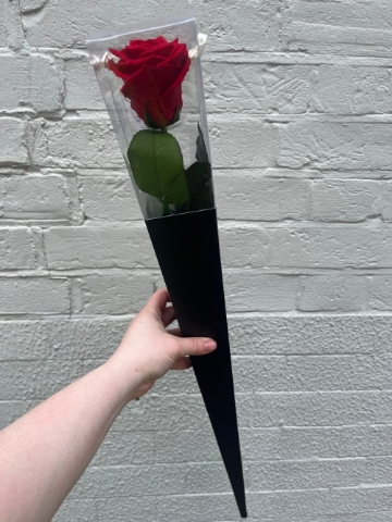 Single Everlasting Rose – Deluxe